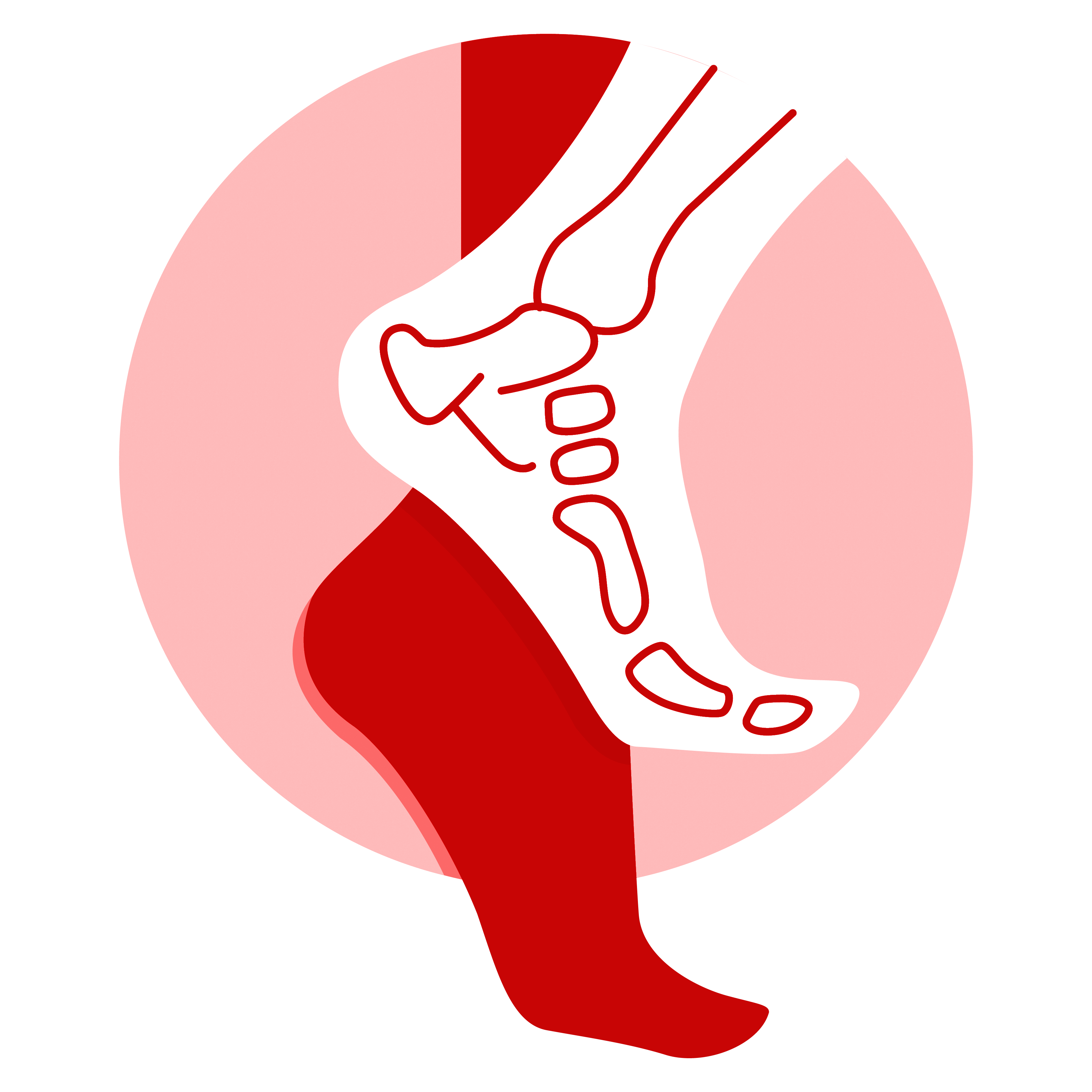 Anaïs De Martin pédicure‑podologue
Mme Anaïs De Martin podologue
Pédicure‑podologue conventionné Morainvilliers
Podologue Morainvilliers
Pédicure Morainvilliers
Cabinet de podologie Morainvilliers
Podologue 78630
Pédicure‑podologue Yvelines
Podologue proche Orgeval
Podologue proche Villennes‑sur‑Seine
Podologue Allée des Tilleuls Morainvilliers
pédicure‑podologue conventionné à Morainvilliers
soin des pieds professionnel 78630
traitement verrue plantaire Morainvilliers
podologue pour ongle incarné Morainvilliers
pédicurie pour diabétique Morainvilliers
podologue recommandé Morainvilliers
soins des pieds
Pédicurie médicale
Traitement des cors
Traitement des durillons
Traitement des callosités
Verrues plantaires
Ongles incarnés
Coupe d’ongles
Fissures talonnières
Hyperkératose
Soins des pieds diabétiques
Podologie sportive
Soins des pieds seniors
Pédicure‑podologue conventionné
Consultation podologique
Bilan podologique
Soins de pédicurie
Hygiène et soins des pieds
Prévention des douleurs du pied
Traitement des affections du pied
6 Allée des Tilleuls Morainvilliers
Cabinet podologie 6 Allée des Tilleuls
Podologue 6 Allée des Tilleuls 78630
Les Alluets‑le‑Roi
Ecquevilly
Orgeval
Villennes‑sur‑Seine
Chapet
Herbeville
Médan
Flins‑sur‑Seine
Crespières
Verneuil‑sur‑Seine
Vernouillet
Carrières‑sous‑Poissy
Les Mureaux
Feucherolles
Triel‑sur‑Seine
Plaisir
Poissy
Les Clayes‑sous‑Bois
Saint‑Germain‑en‑Laye
Le Pecq
Conflans‑Sainte‑Honorine
